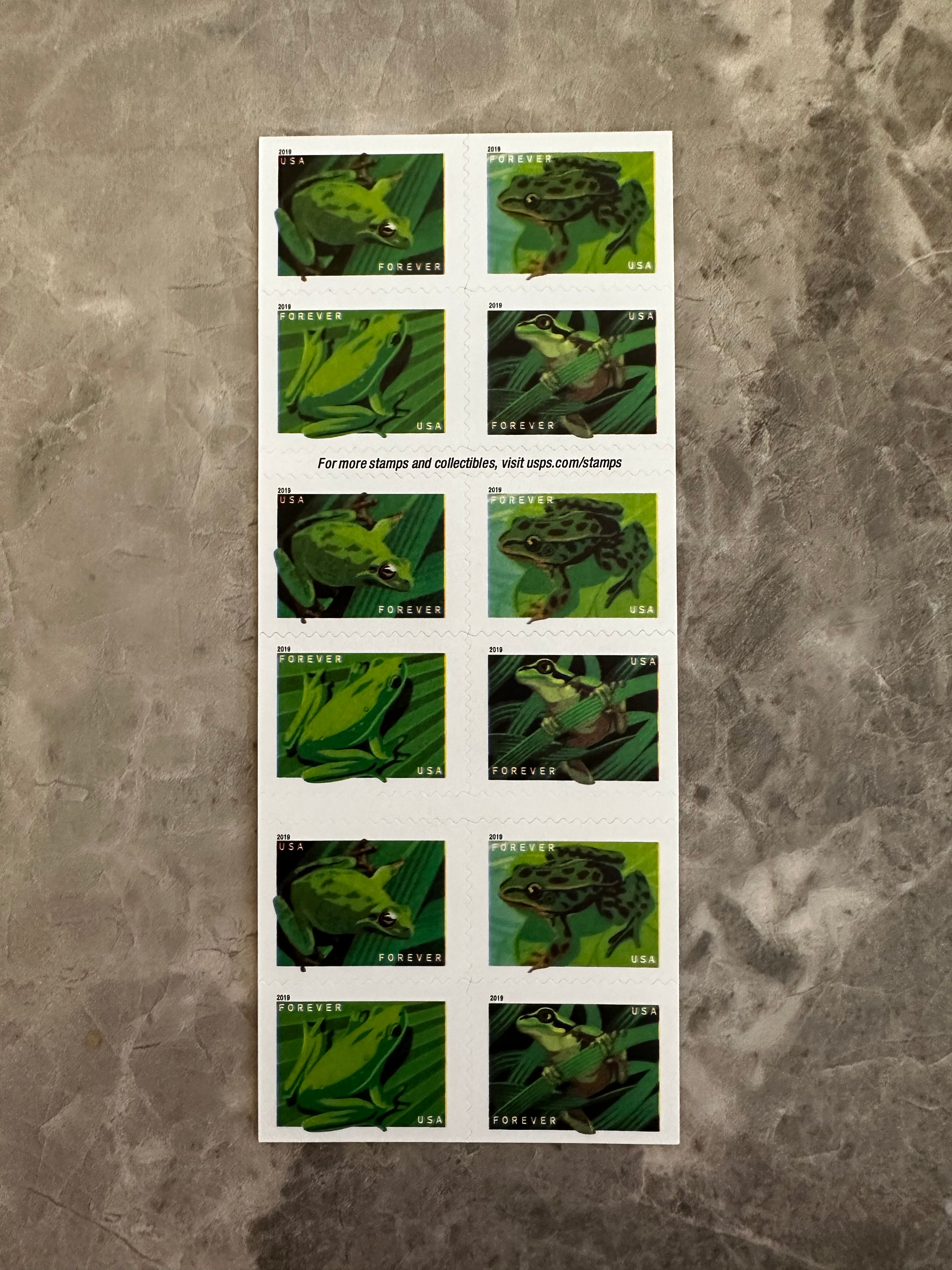 Frogs Forever First Class Postage Stamps